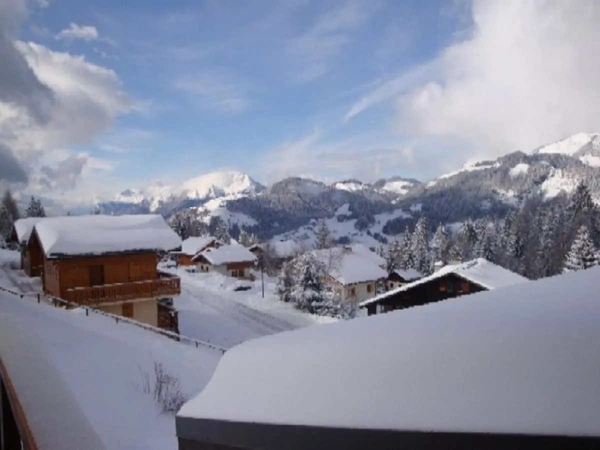 Chalet Savoyard 8 Pers, Proche Pistes, Parking - Fr-1-733-1 Crest-Voland 0*,  France